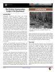 Civilian Conservation Corps